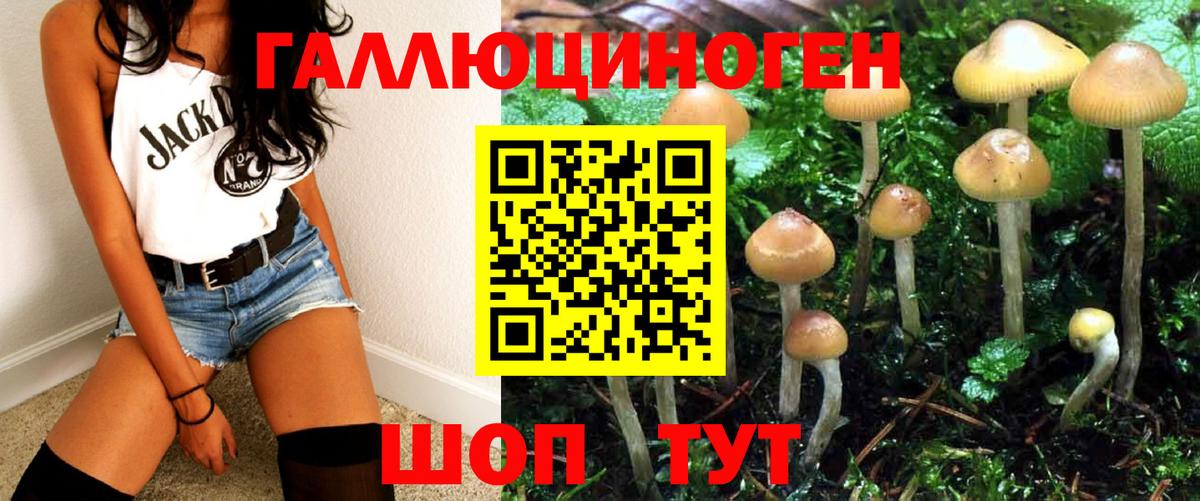 Ипатово  Псилоцибиновые грибы MAGIC MUSHROOMS  Псилоцибиновые грибы Cubensis  Вход с VPN 